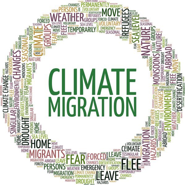 Vatrukh Foundation tweet media