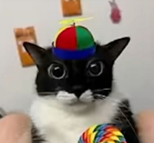 MKNugget tweet media