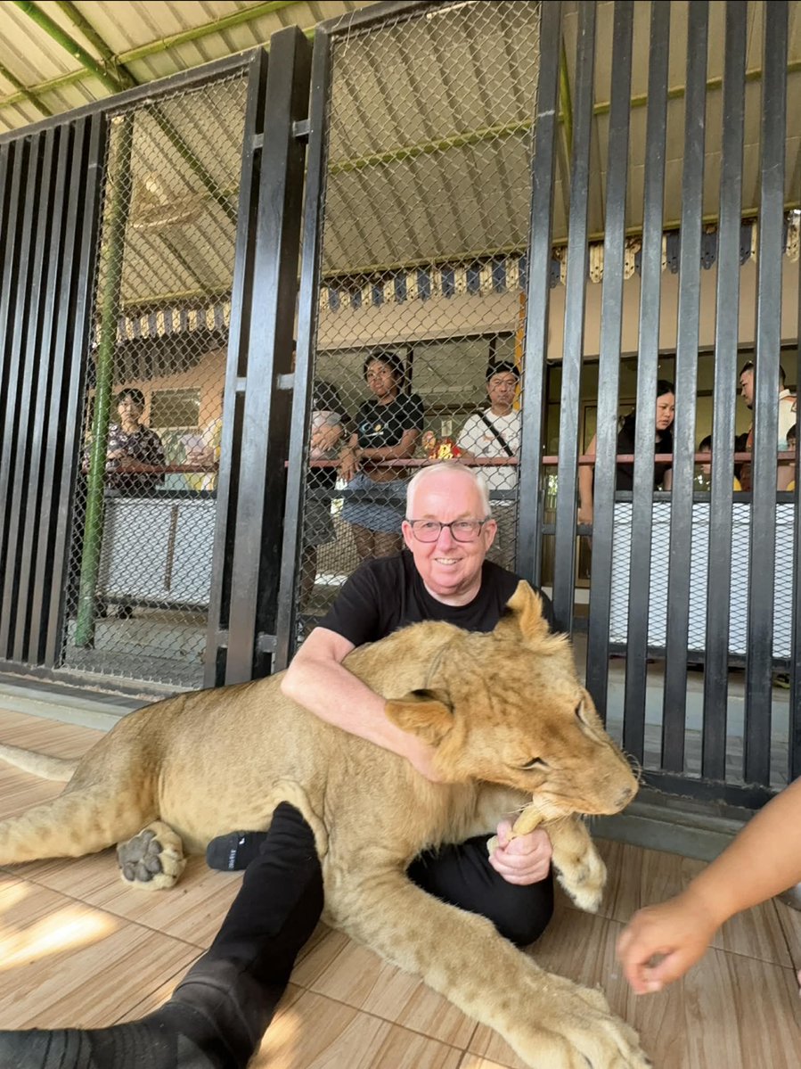 Black Cat tweet media