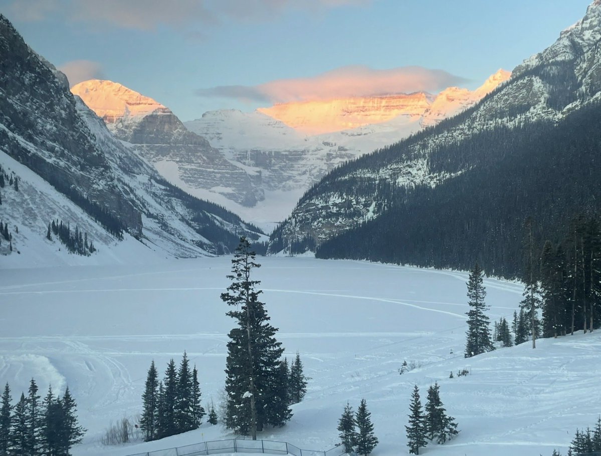 J🥎el, Prince ☢️f Petty 👑🐴 tweet media