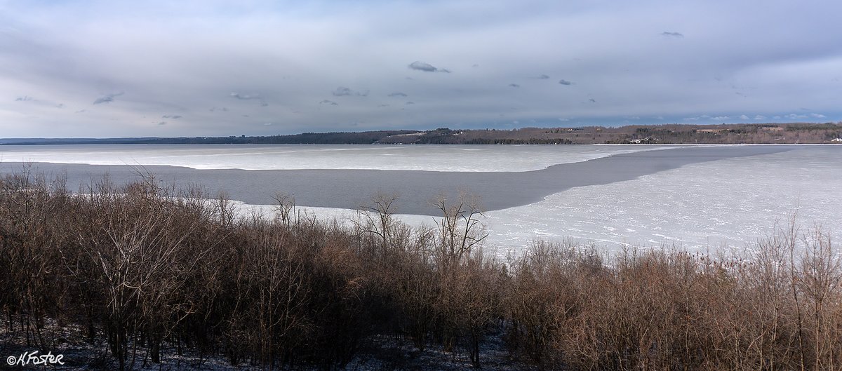 harry_fosters's tweet image. The season's they are a changing. Looked out this morning and saw the ice moving out and a couple of minutes later a #Juvenile #BaldEagle flew by, not a great shot. but lucky to get that. And, my #Rabbit friend was back, I was worried the coyotes might have got him.#NaturePhoto