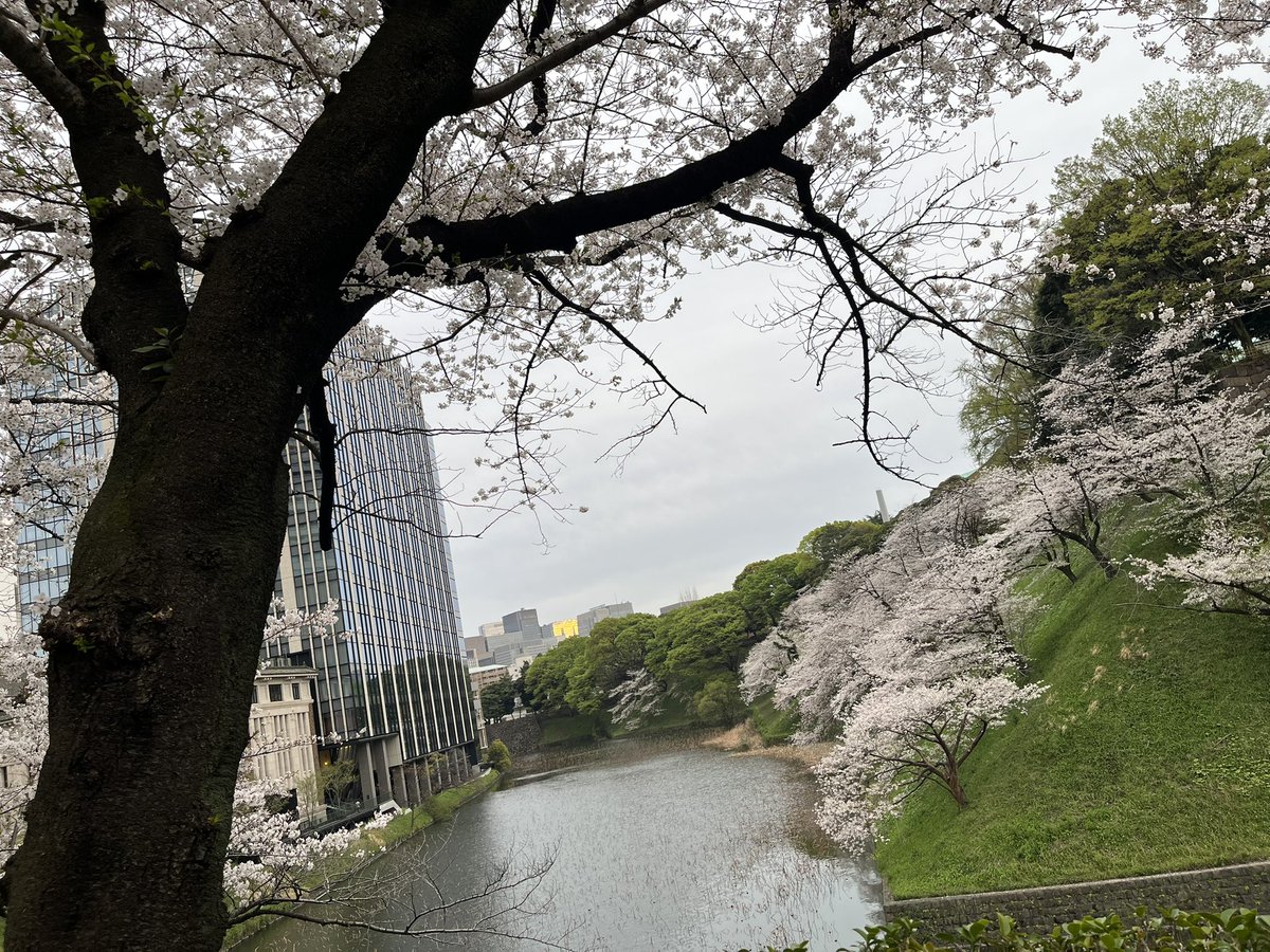 na9035's tweet photo. 靖国神社→北の丸公園→下村観山展(写真なしw) https://t.co/GMQPURPvP9