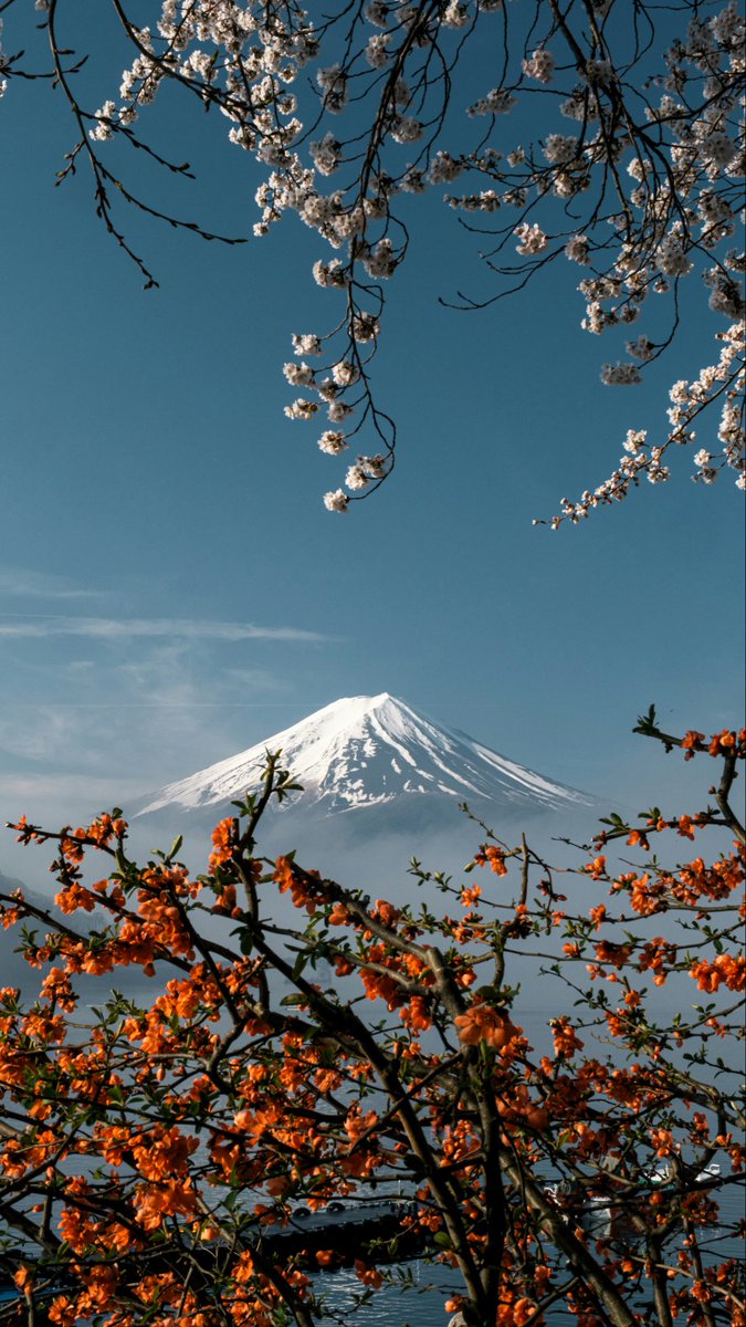 Amazing_Views7's tweet photo. Japan 🇯🇵 https://t.co/XcxQ0kJBlM