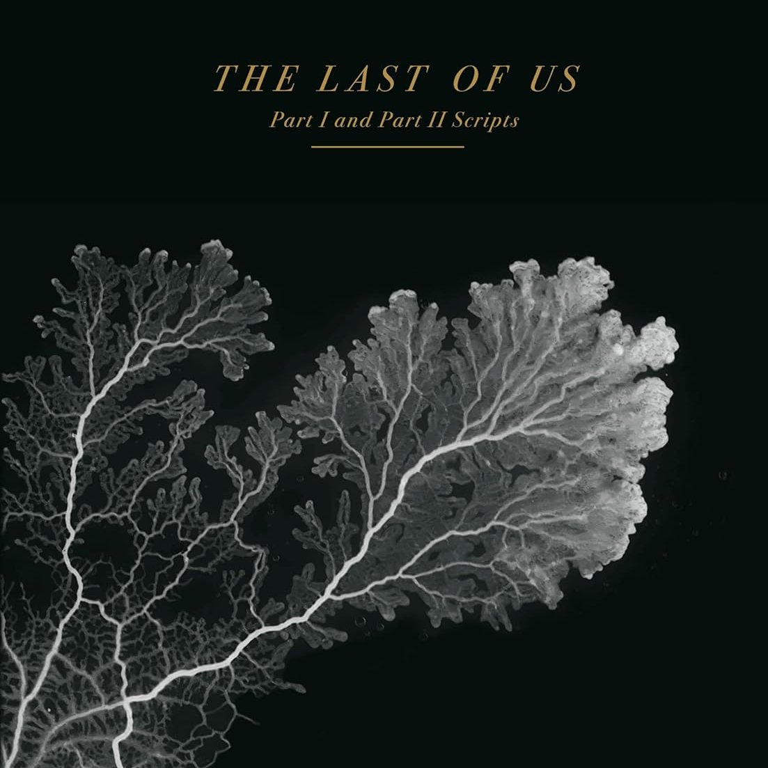 Naughty Dog Info 🐾 tweet media