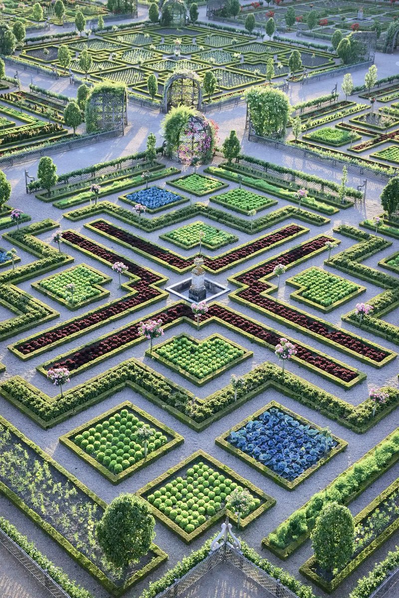 Le plus beau potager du monde est dans un château de la Loire. Et il est 100% bio.

Villandry, Indre-et-Loire. Neuf carrés de légumes disposés en damier. 115 000 plantes changées deux fois par an. 30 kilomètres de buis taillés à la main. 1 016 tilleuls. 10 jardiniers à temps