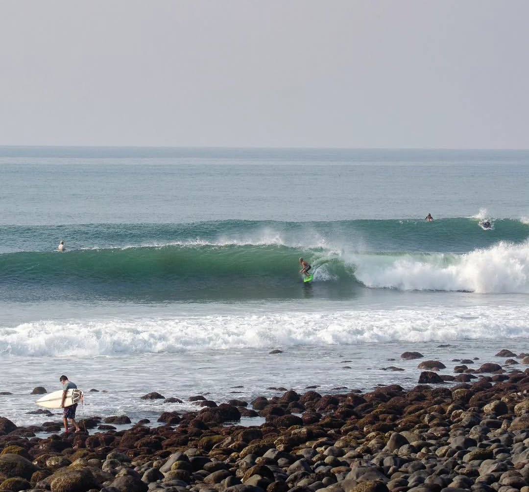 oɔɹɐɯ southern surf tweet media