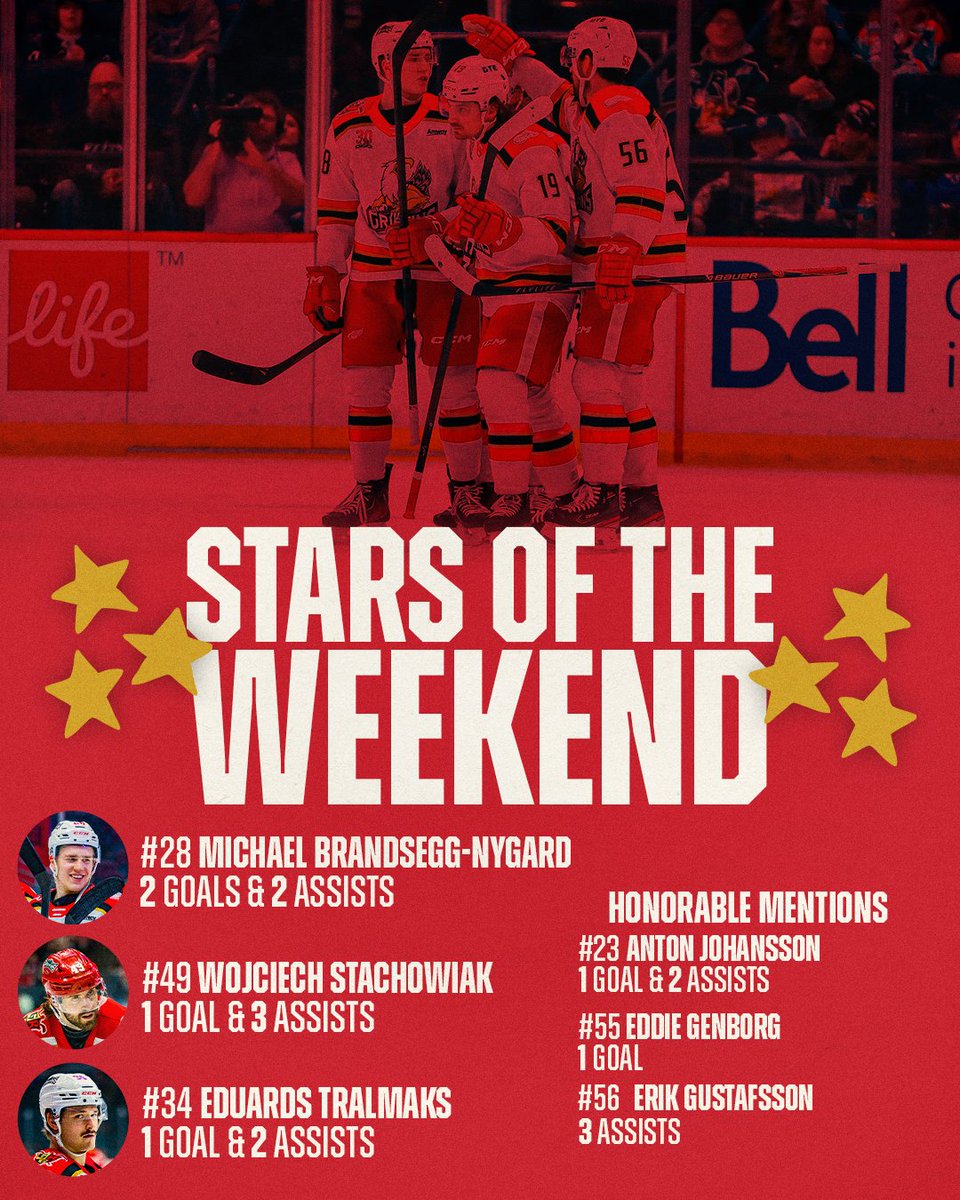 y-Grand Rapids Griffins tweet media