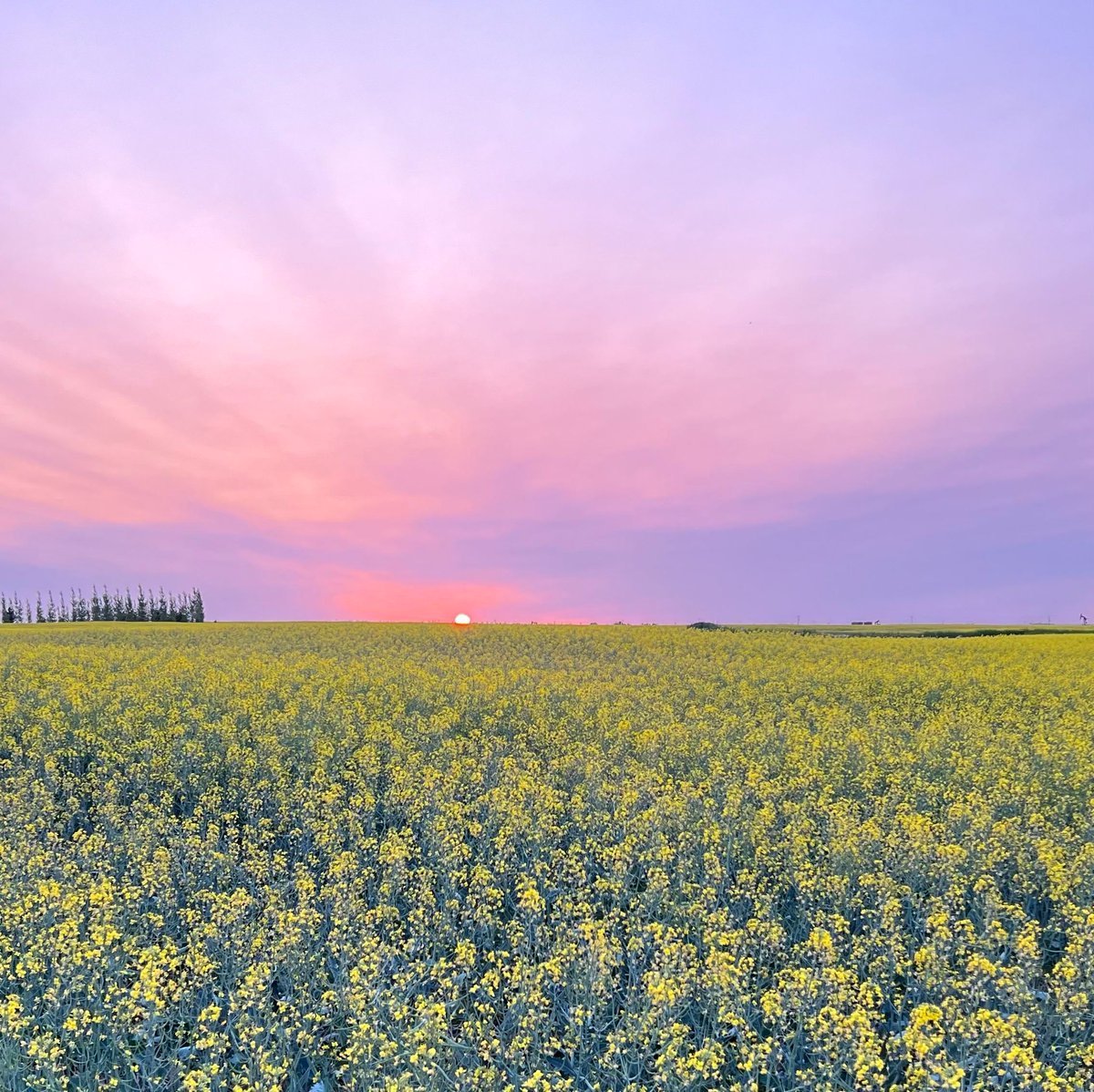 Precision Ag tweet media