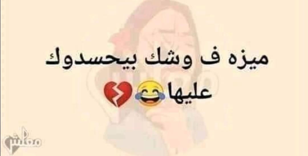 🦅snow white🦜 tweet media