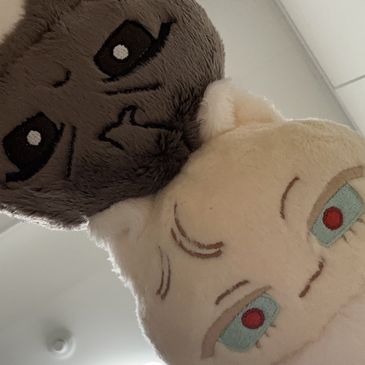 뚱참치 tweet media
