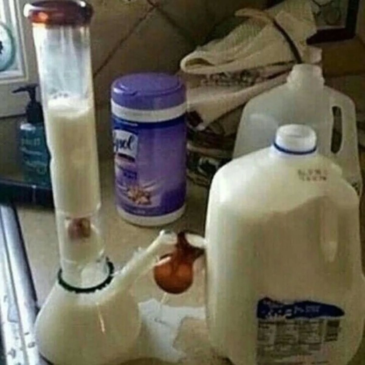 horse dentist tweet media