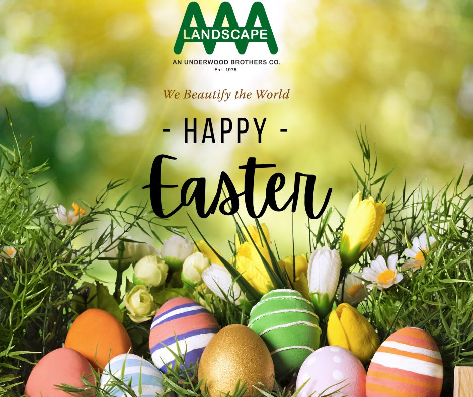 AAALandscape's tweet photo. Happy Easter Monday! Embrace renewal and growth this week. Spring is here—time to refresh your outdoor spaces! Wishing you all a peaceful and productive week ahead! #EasterMonday #SpringSeason #NewBeginnings #AAALandscape #LandscapeCare https://t.co/AFsYZT6fEp