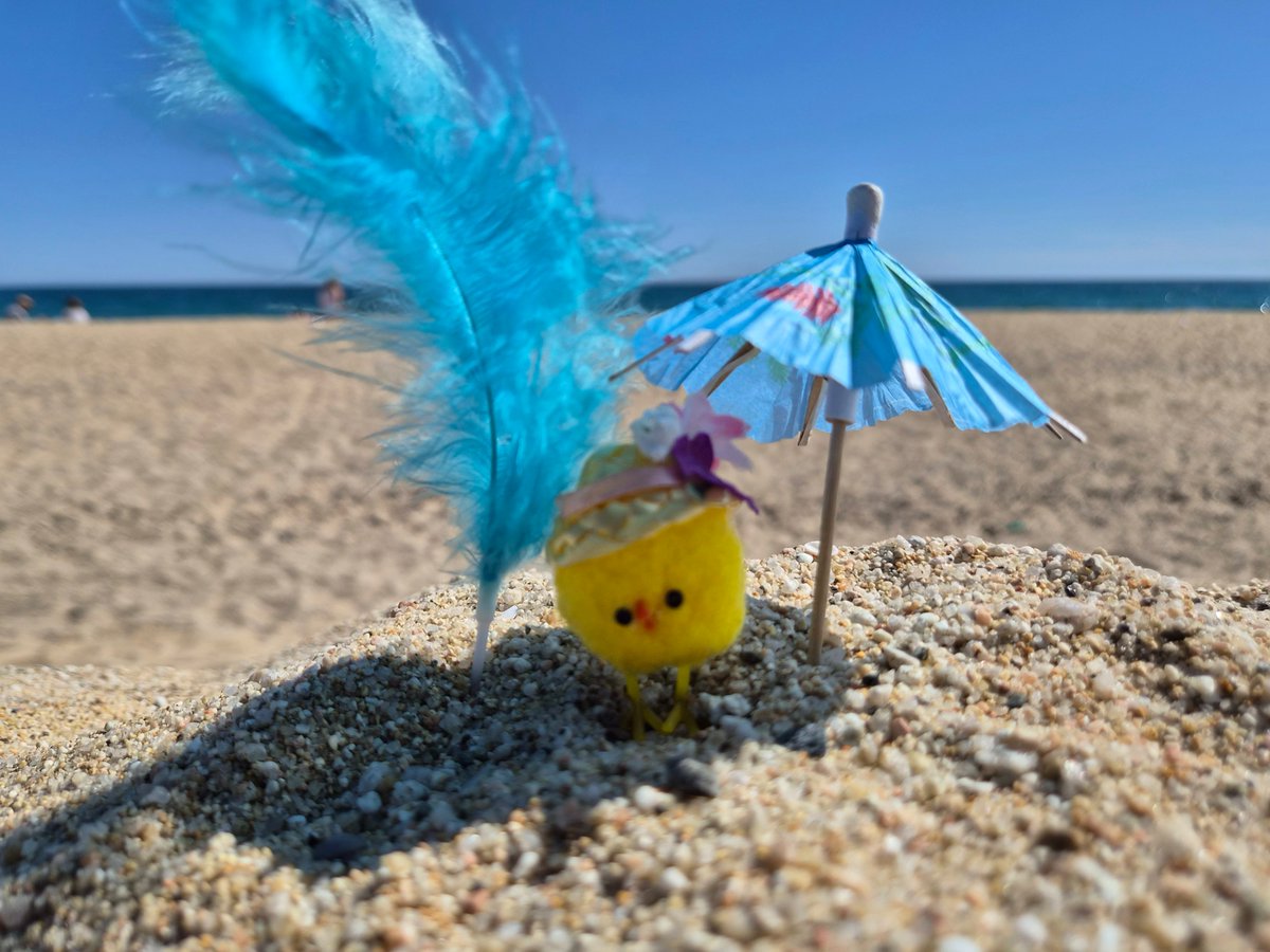 Mariona Rifà tweet media