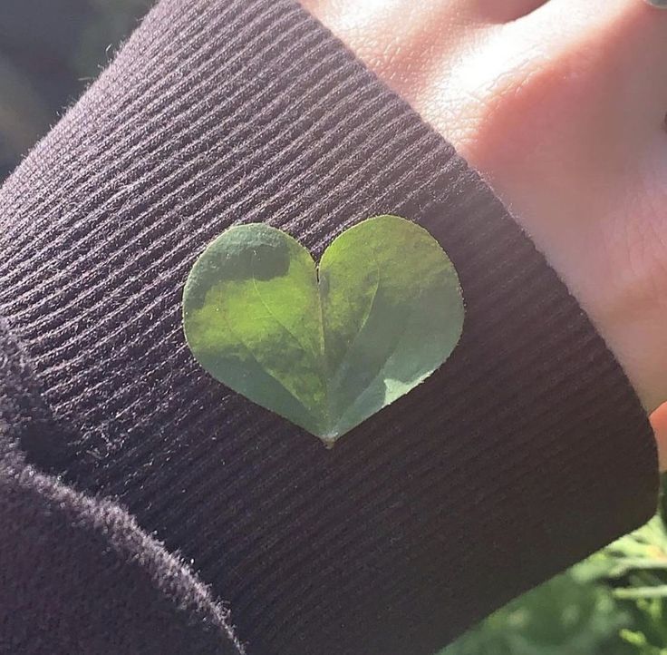 san ..‏ꨄ tweet media