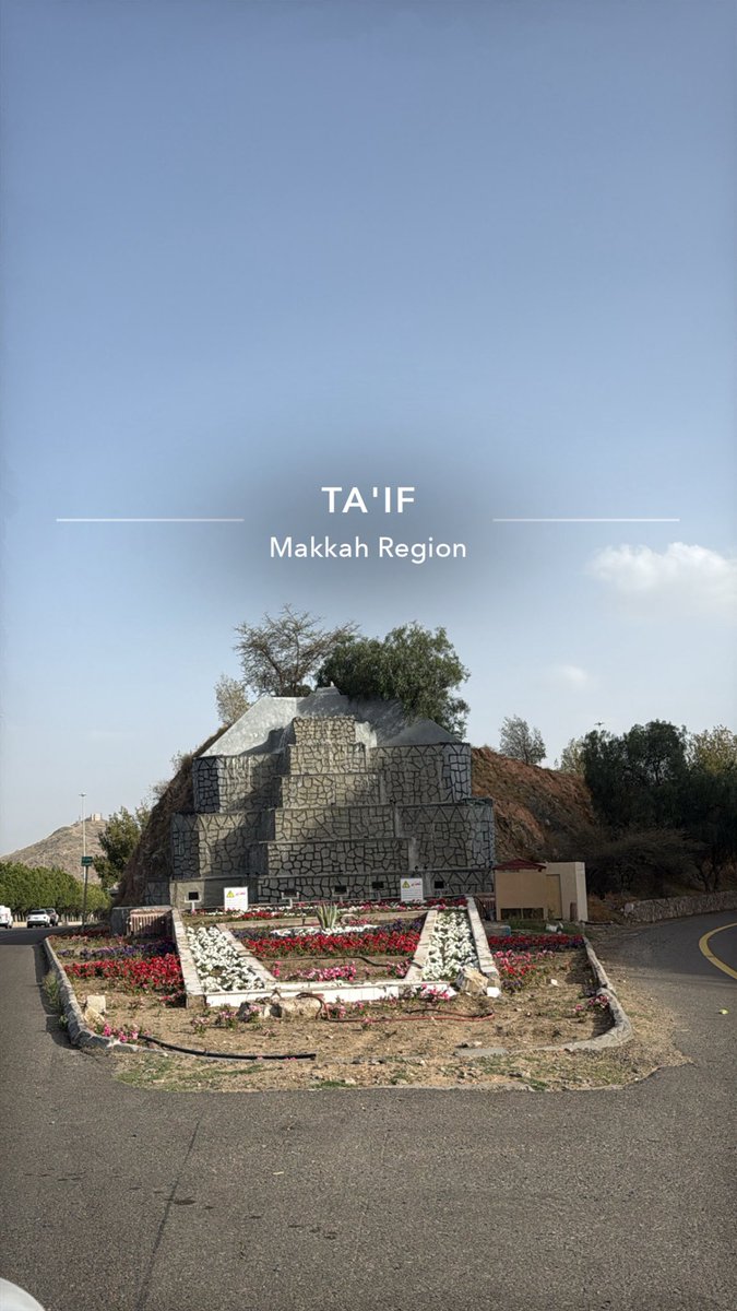 ياسر tweet media