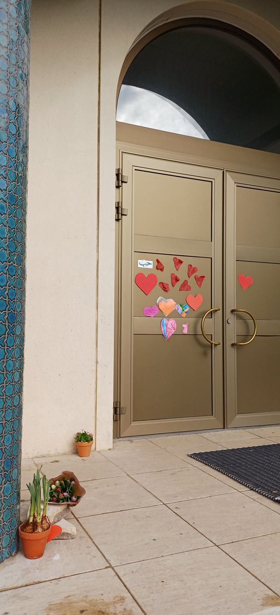 Sead Busuladzic tweet media