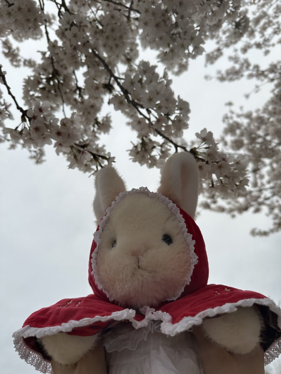 나의 툭툭이🐢 tweet media