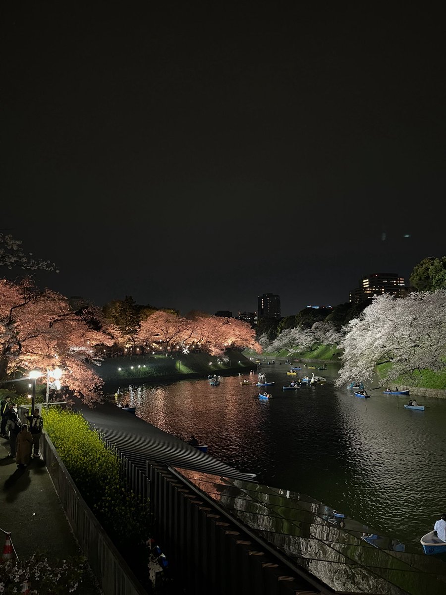 na9035's tweet photo. 千鳥ヶ淵🌸
ライトアップしてた&amp;桜まだ散ってなかったー！！ https://t.co/8oLko0jCVZ
