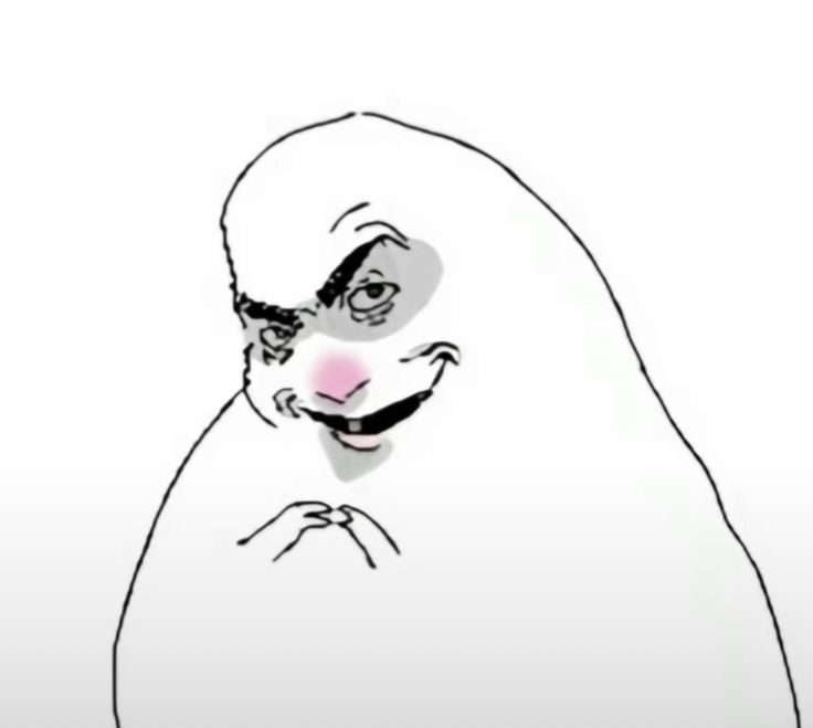 chiri‼️ tweet media