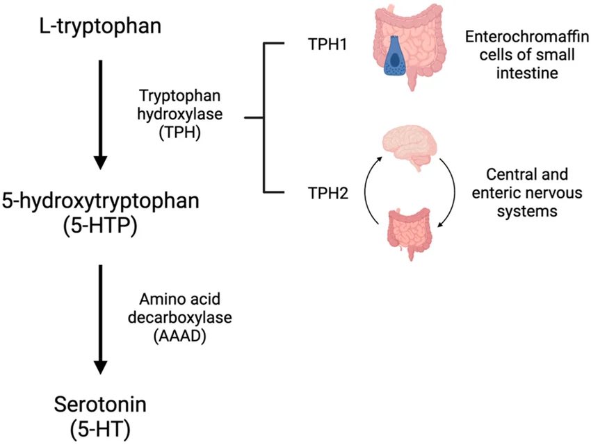 أحمد الحربي tweet media
