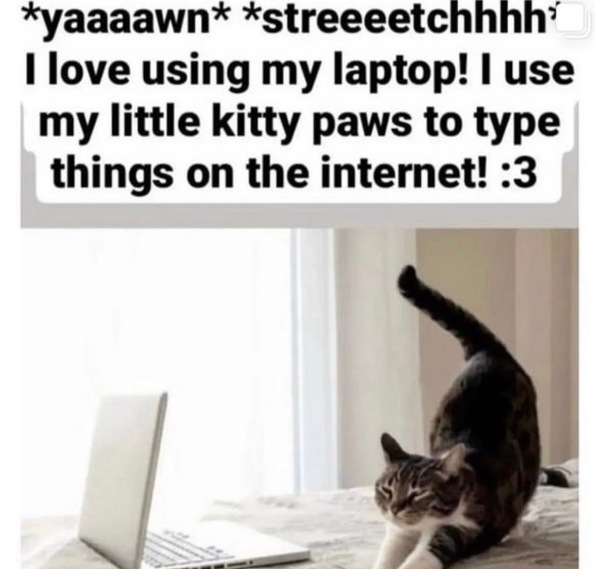 ✧ (@northstardoll) on Twitter photo 