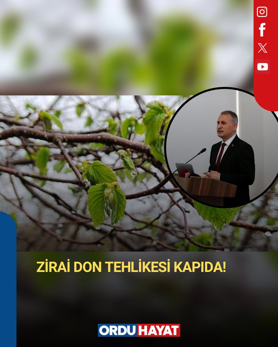 Ordu İl Tarım ve Orman Müdürü Bayram Ay, Meteoroloji Genel Müdürlüğünden yapılan uyarıya göre, 8 Nisan Çarşamba günü itibariyle bir zirai don tehlikesinin bulunduğunun altını çizerek, 8 Nisan’ı 9 Nisan tarihine bağlayan gece don olayı yaşanacağı konusunda bilgilendirildiklerini,