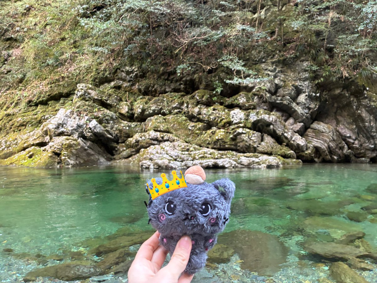 タロウ tweet media