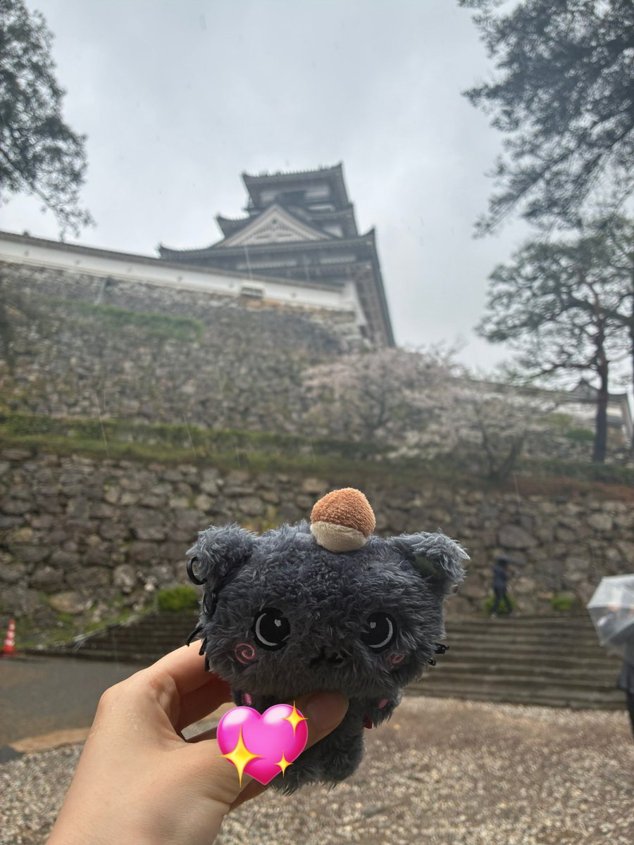 タロウ tweet media