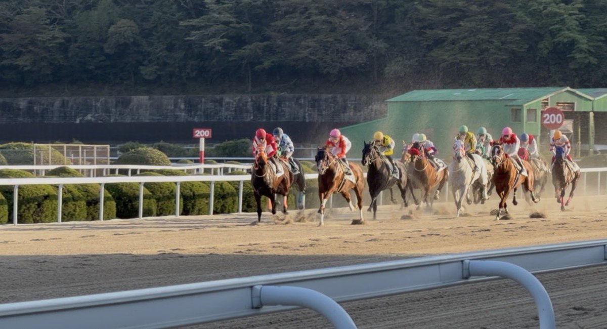 _rapapanpan's tweet photo. 昨日お馬たん見てきた🏇💕 https://t.co/DsVdz7xkr2