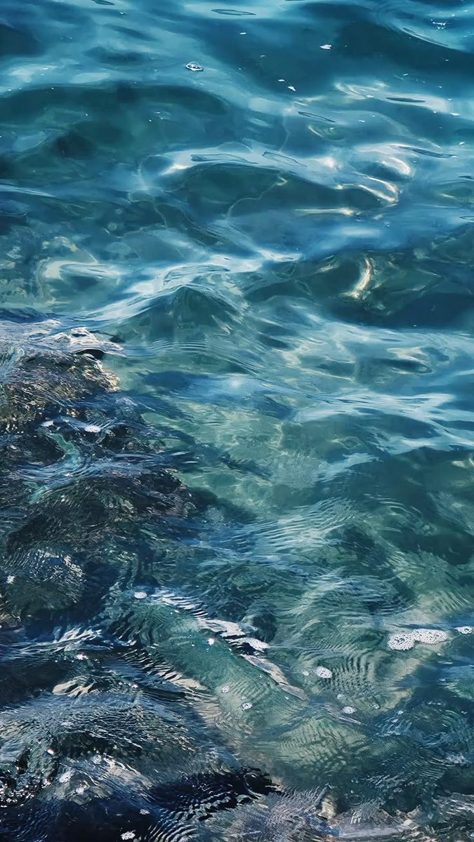 𝕰𝖑𝖊𝖒𝖒𝖎𝖗𝖊 tweet media