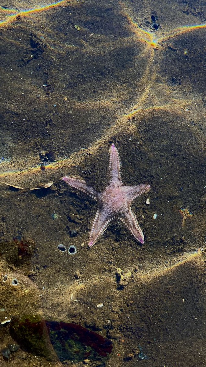 𝕰𝖑𝖊𝖒𝖒𝖎𝖗𝖊 tweet media