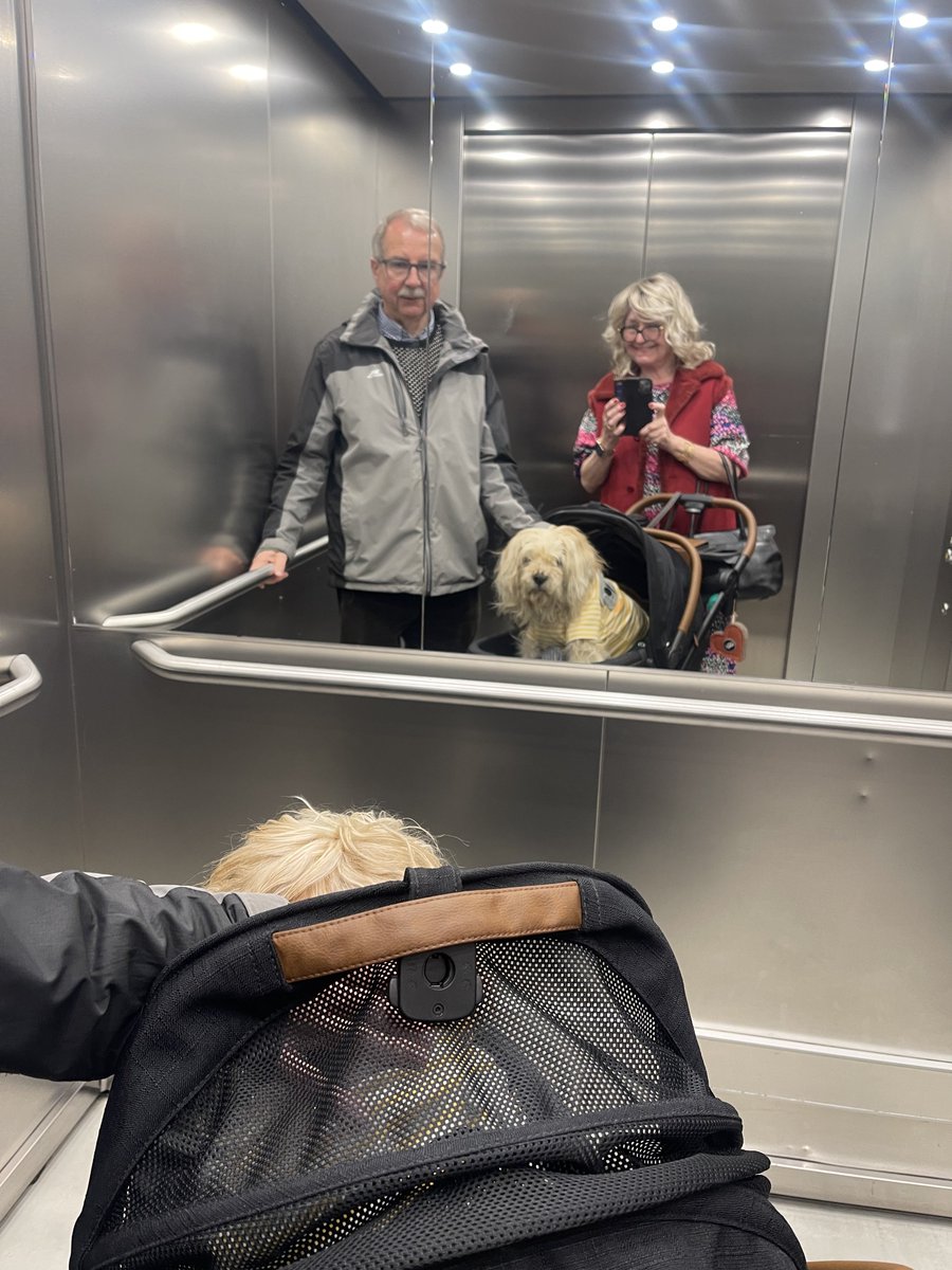 Lord Alfred’s Diary tweet media