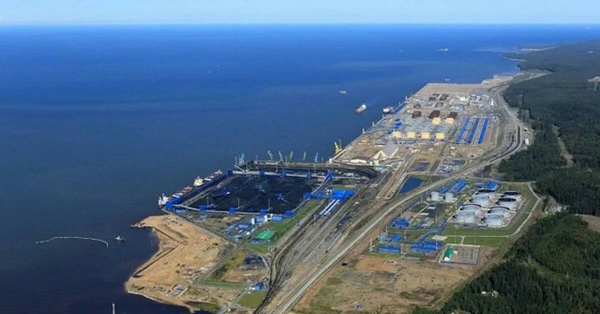 🇷🇺 STANISLAV KRAPIVNIK 🇷🇺 tweet media