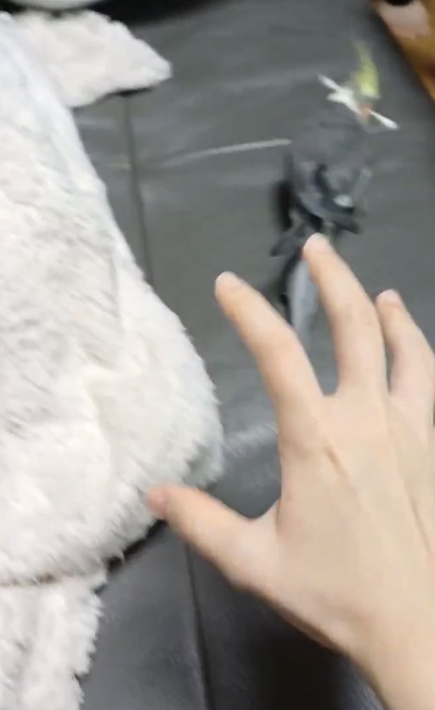 연두해요~ tweet media