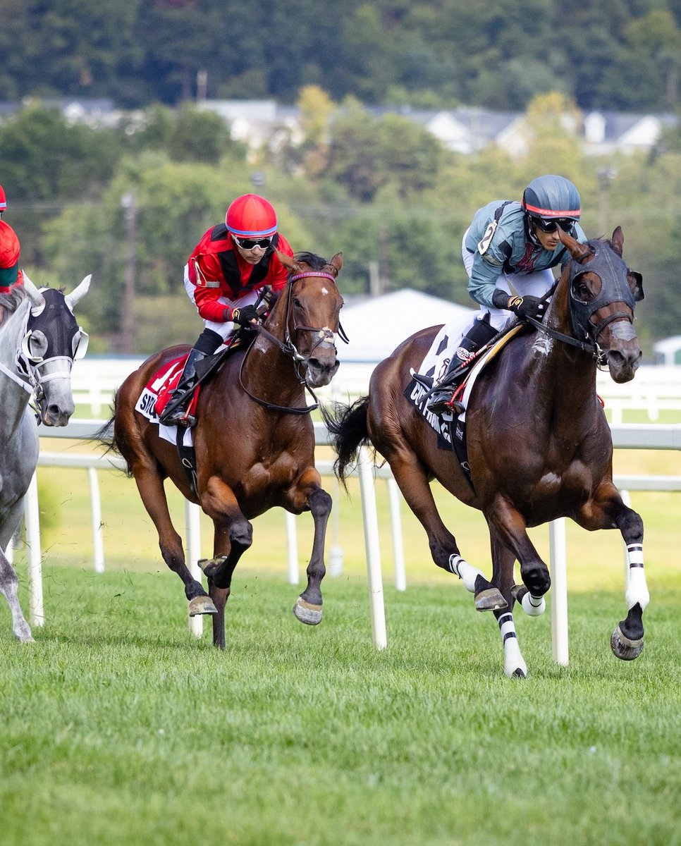 The Maryland Jockey Club, Inc. tweet media