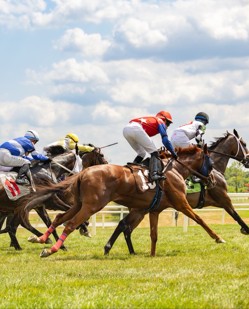 The Maryland Jockey Club, Inc. tweet media