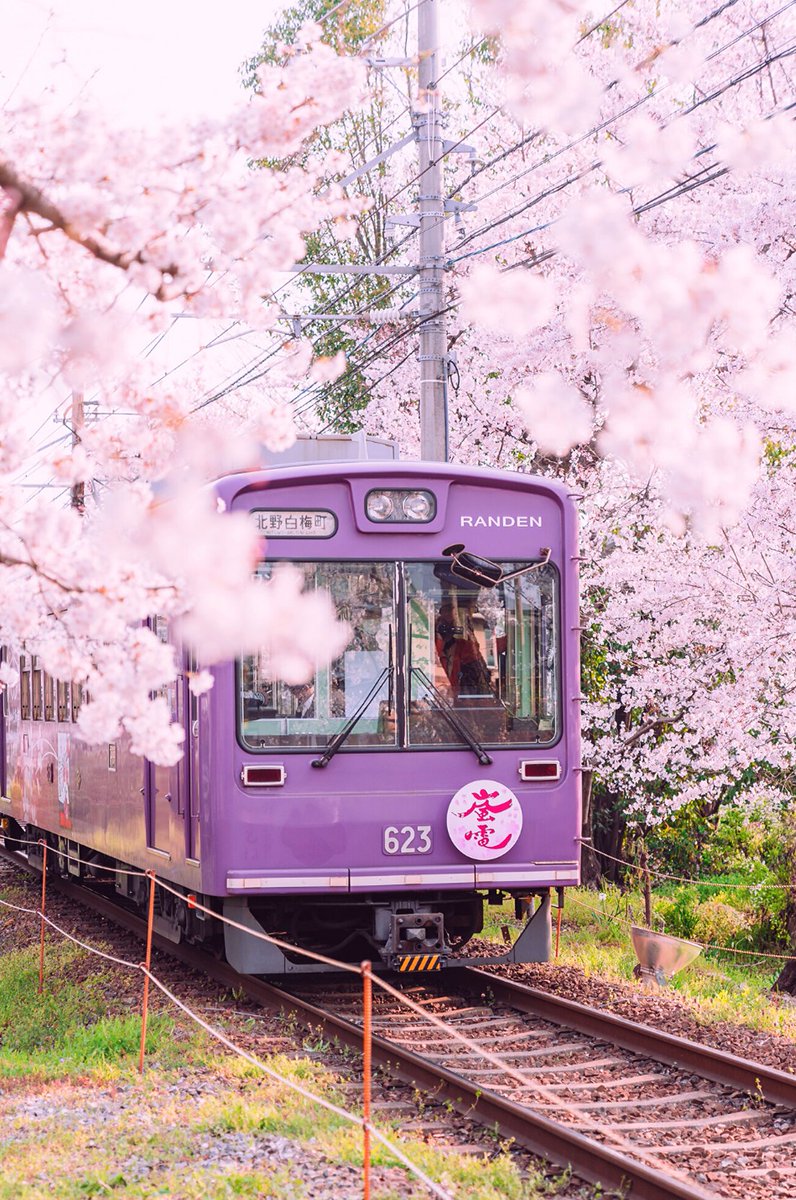 ひっと tweet media