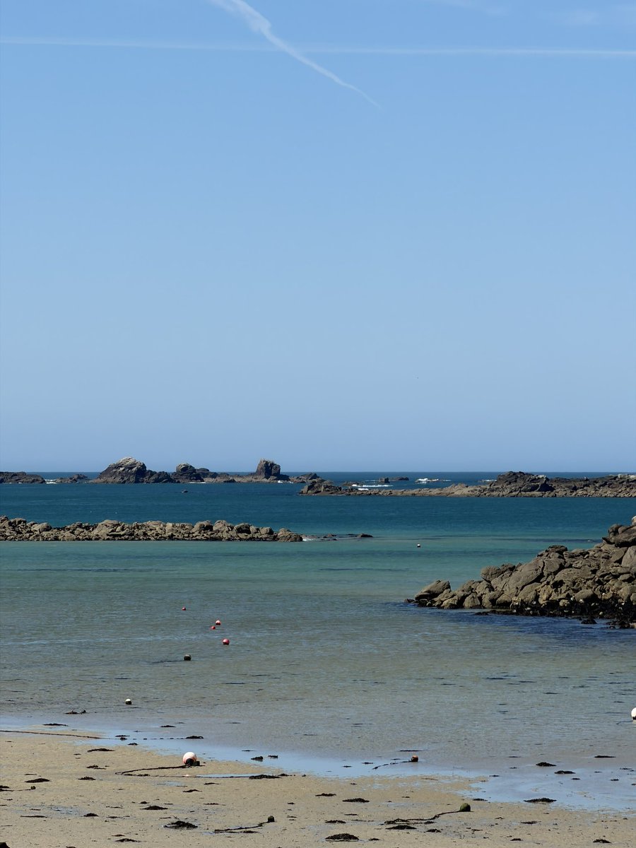 LuDoViC LéRiSsEl tweet media