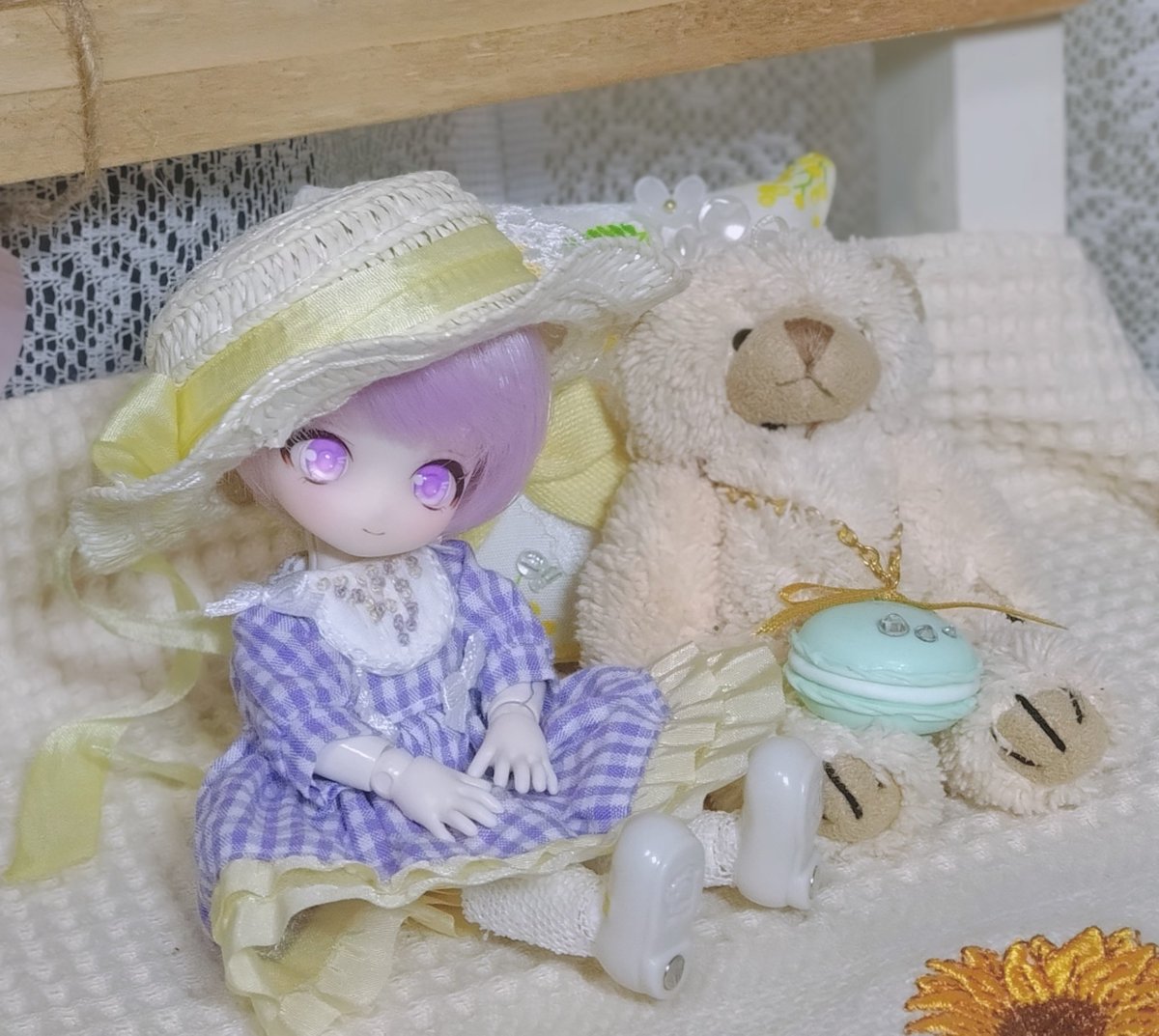 🌻観土🌻 tweet media