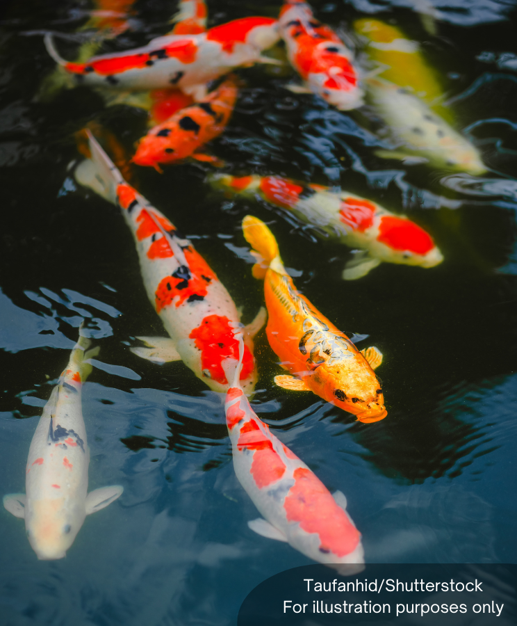 BFM News tweet media