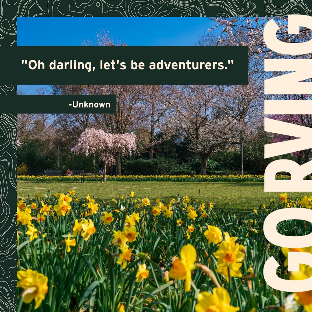 Go RVing tweet media