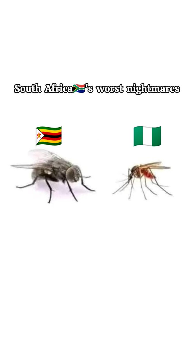 Yaya Libram🇿🇦 tweet media