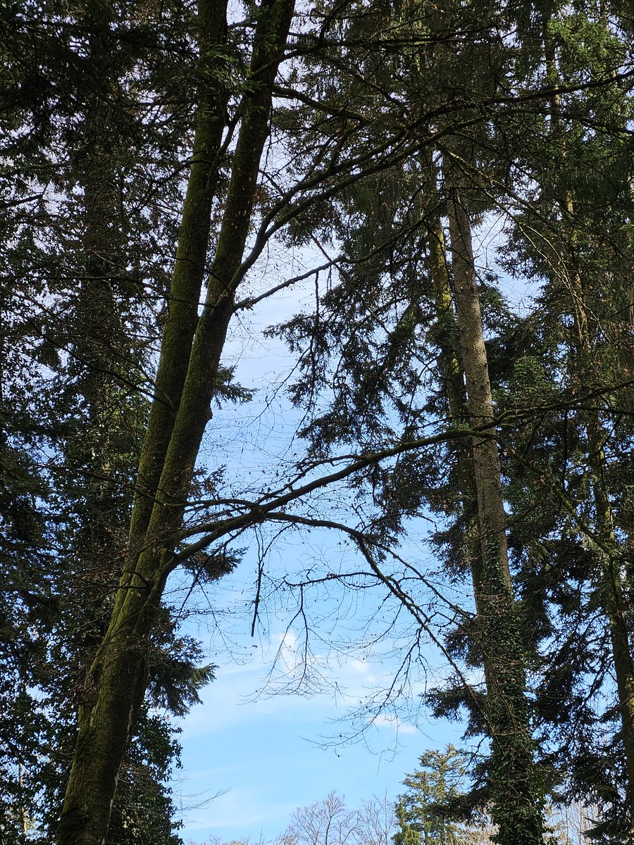 La fée clochette 🧚♀️🦄✨️🇨🇭🇫🇷 tweet media