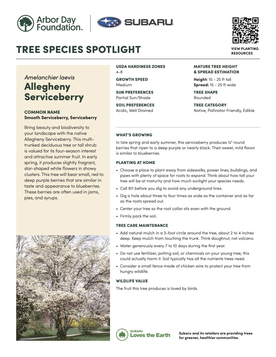 Fairway Automotive Group tweet media