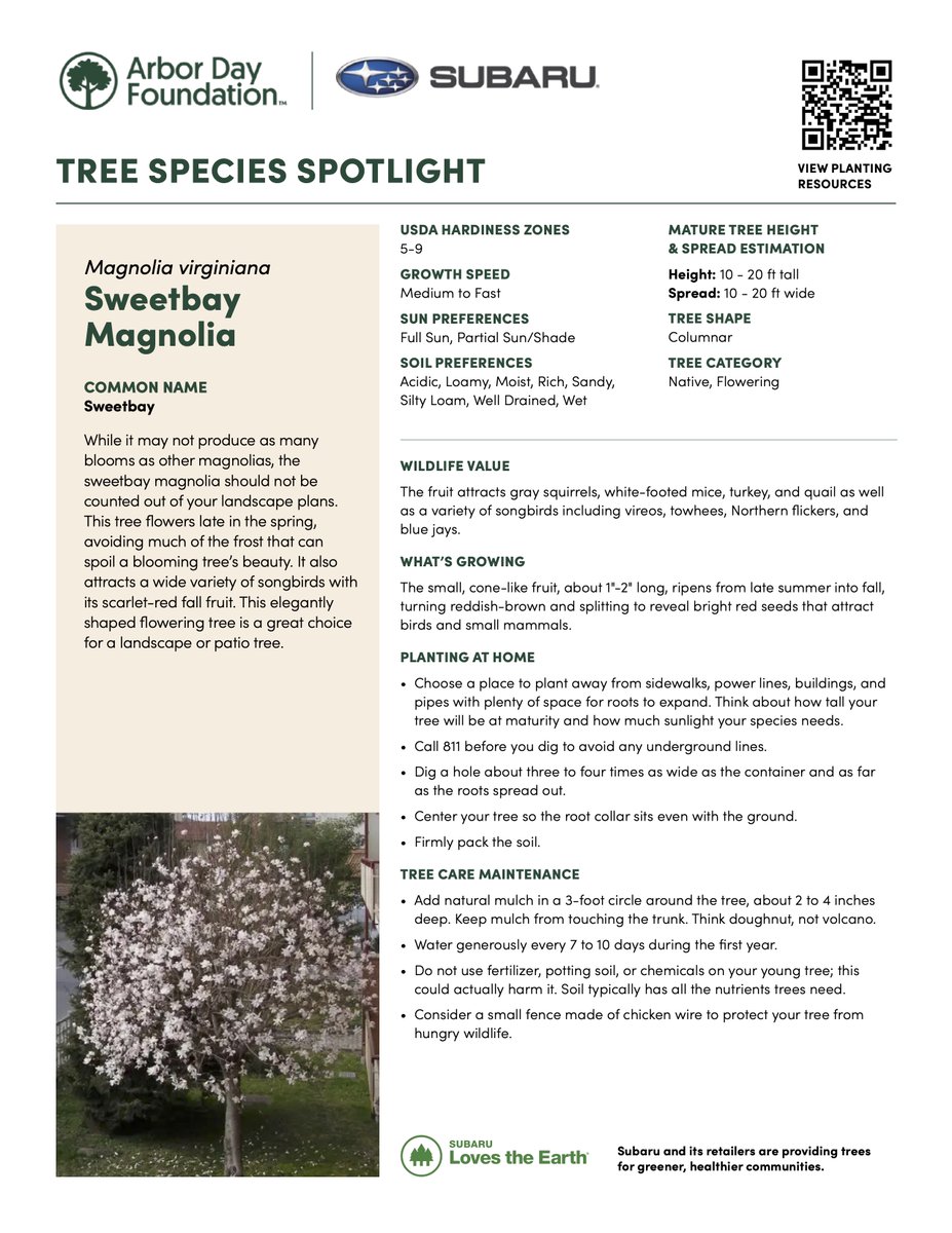 Fairway Automotive Group tweet media