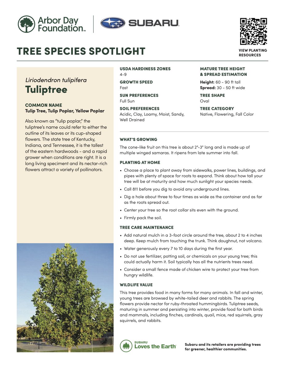 Fairway Automotive Group tweet media