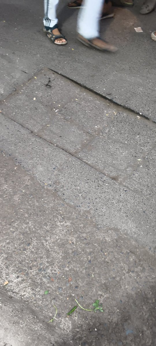 MAHARASHTRA tweet media