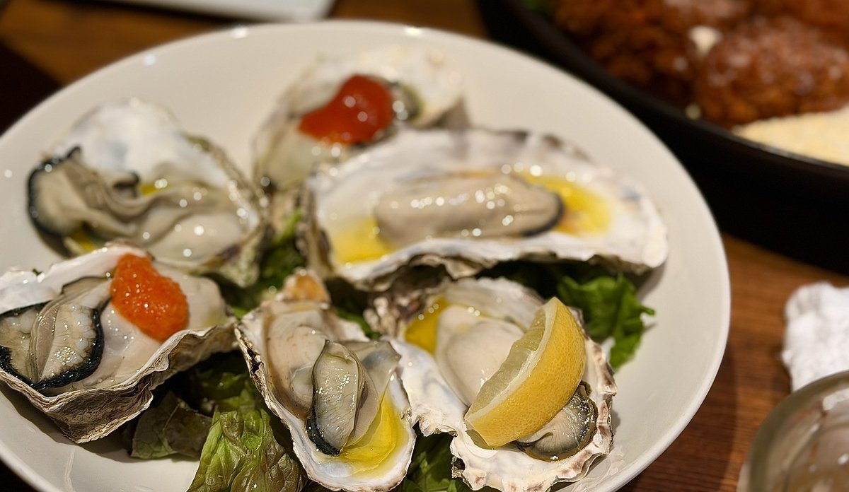 今年からは〆切直前でも根を詰め過ぎず休みを取って体調と気力管理しよう!にシフトしたので今日は一日桜とかネコチャンを撮り回ったり外食で豪遊してリフレッシュした🤗 