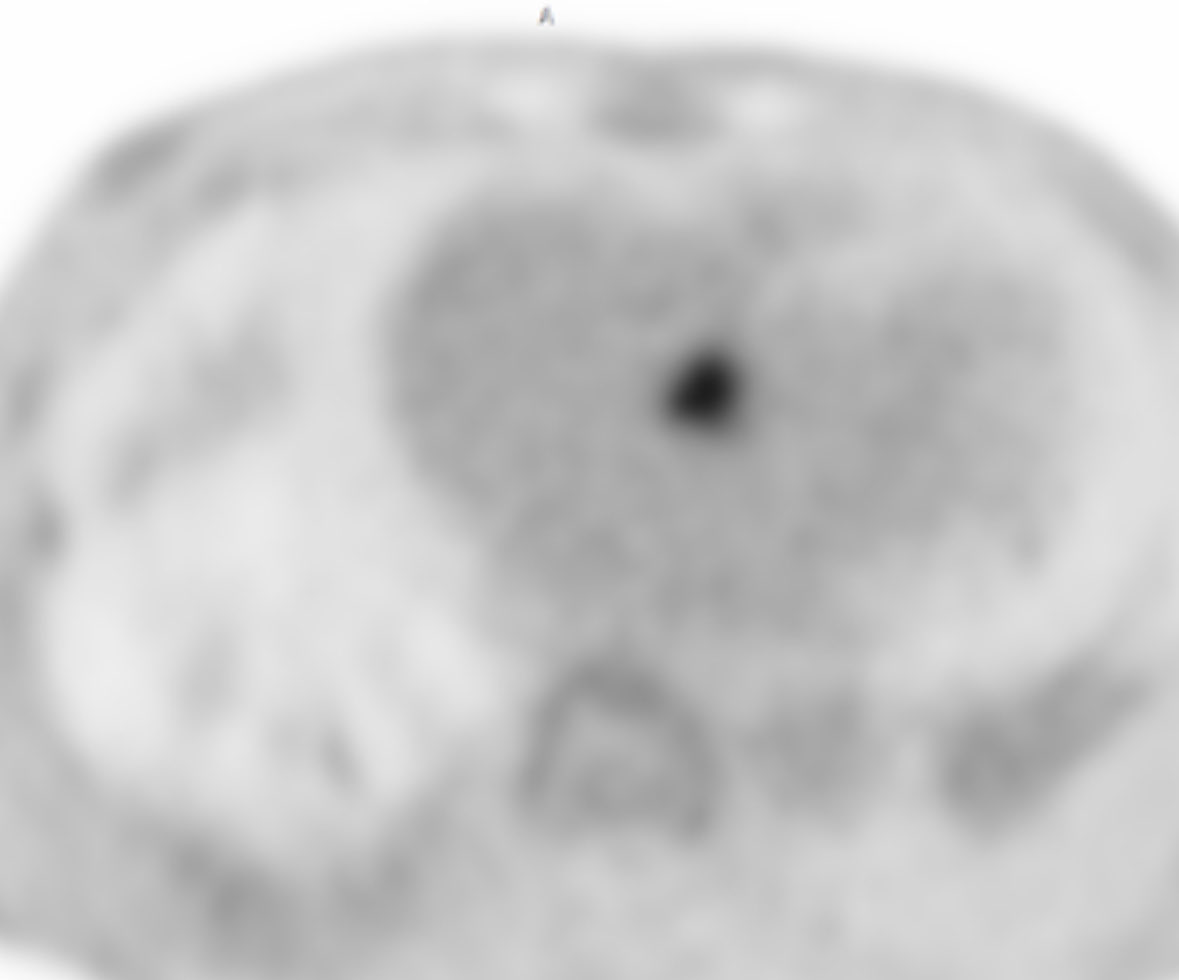 궁서체 tweet media