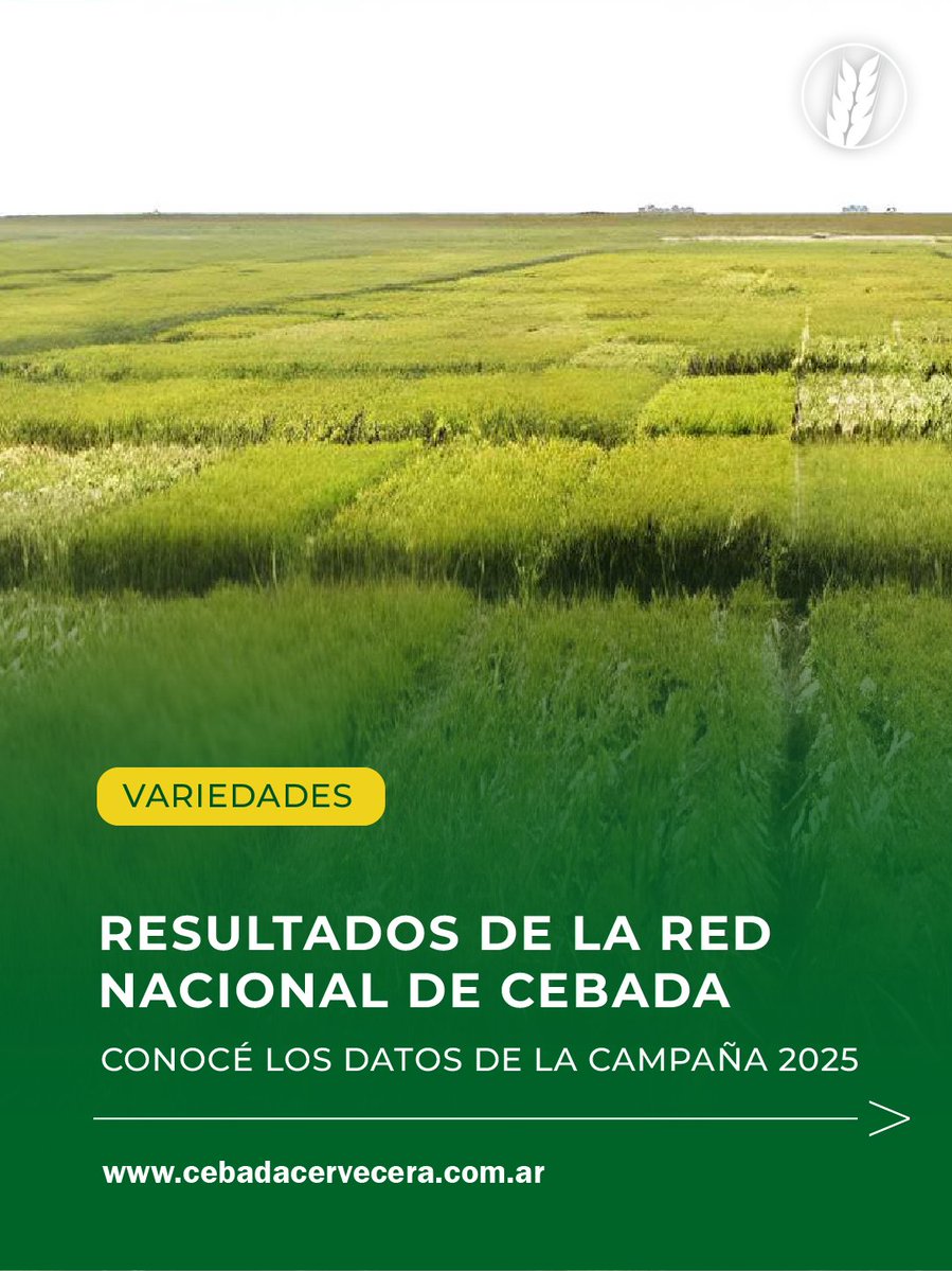 Cebada Cervecera tweet media